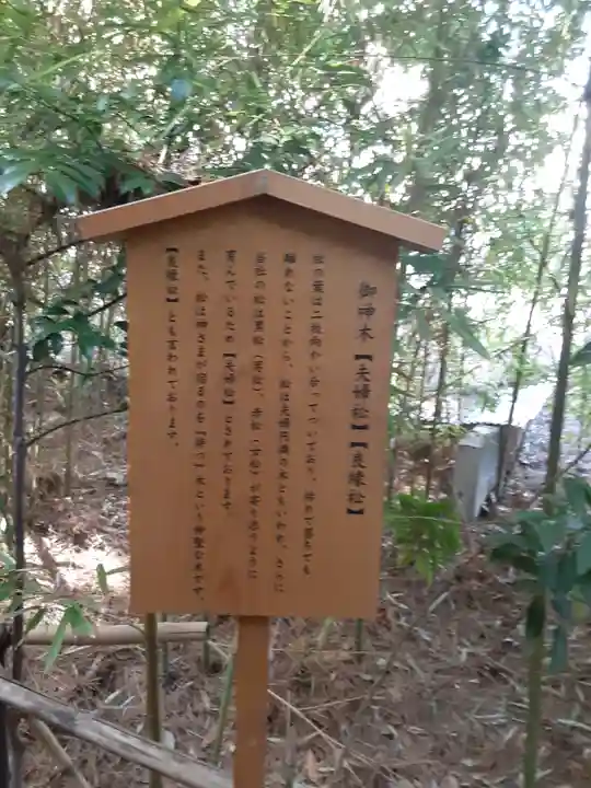自由が丘熊野神社(東京都)
