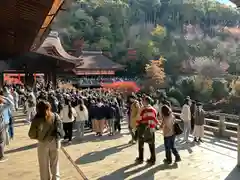 清水寺(京都府)