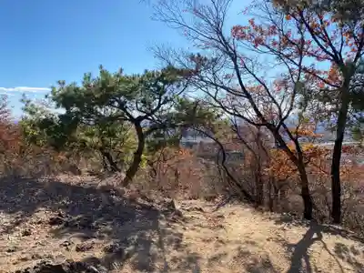 足利織姫神社(栃木県)