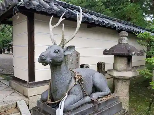 立木神社の狛犬