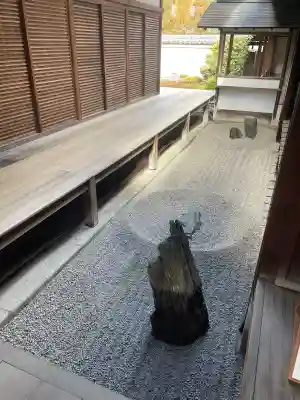 大徳寺の{uncategorized: "未分類", other: "その他", undefined: "問題あり", building: "その他建物", grave: "お墓", sacred_gate: "鳥居", guardian: "狛犬", statue: "像", buddha: "仏像", history: "歴史", nature: "自然", garden: "庭園", animal: "動物", pagoda: "塔", temizu: "手水舎", mountain_gate: "山門・神門", sanctuary: "本殿・本堂", subordinate: "末社・摂社", art: "芸術", scenery: "景色", jizo: "地蔵", ema: "絵馬", goshuin: "御朱印", omikuji: "おみくじ", items: "授与品その他", amulet: "お守り", goshuincho: "御朱印帳", eats: "食事", festival: "お祭り", votive_dance: "神楽", shichigosan: "七五三参", wedding: "結婚式", experience: "体験その他", initially: "初詣", around: "周辺", anti_infection: "感染症対策"}