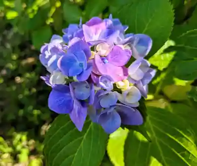東慶寺(神奈川県)