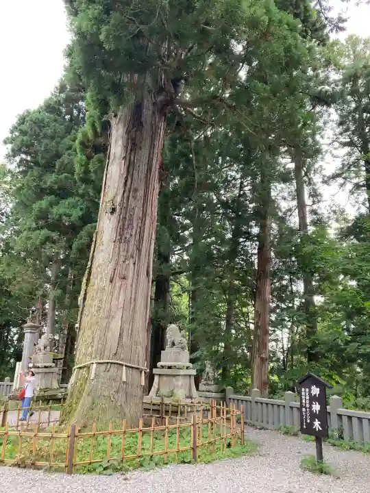 戸隠神社中社(長野県)
