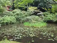 岩船寺(京都府)