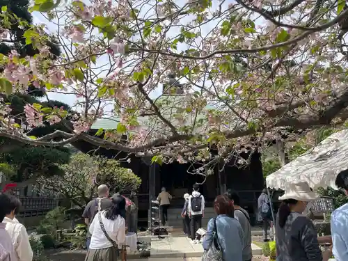 極楽寺（霊鷲山感應院極楽律寺）の本殿・本堂