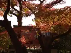 覚園寺(神奈川県)