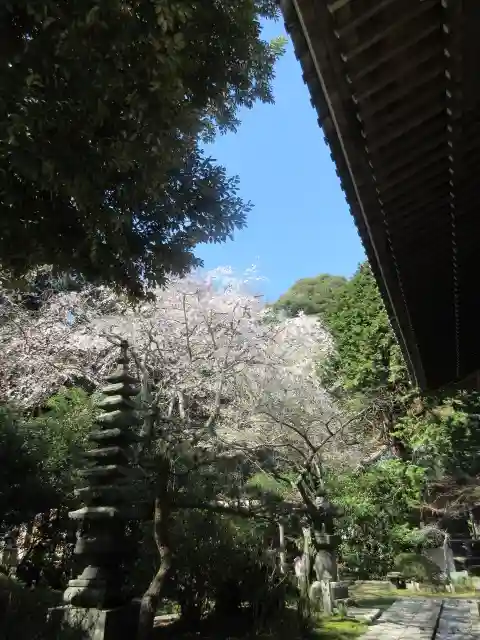 安國論寺(安国論寺)の景色