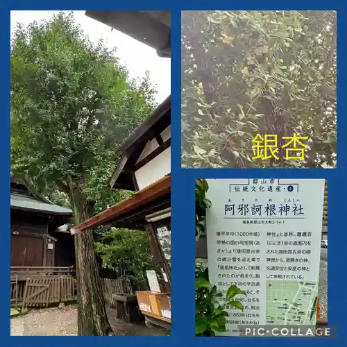 阿邪訶根神社(福島県)