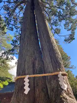 北口本宮冨士浅間神社(山梨県)