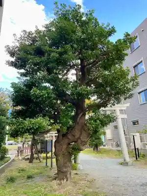 琵琶島神社(神奈川県)