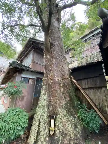 竹生島神社（都久夫須麻神社）(滋賀県)