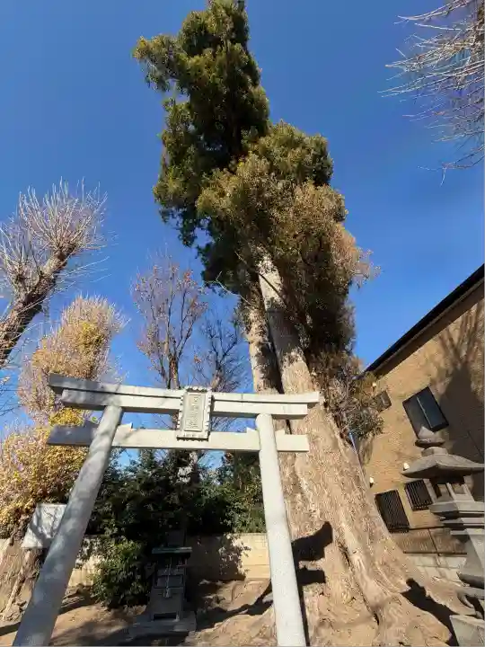 宮鍋神社(群馬県)