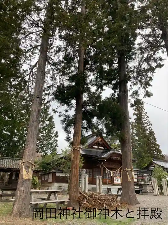 岡田神社(長野県)