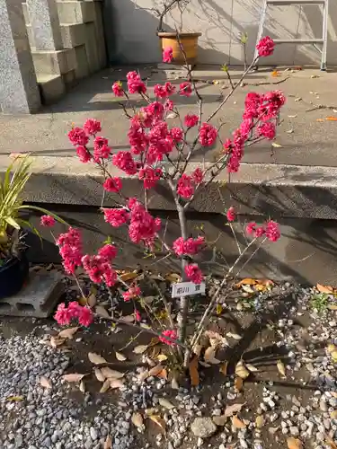 木場 洲﨑神社(東京都)