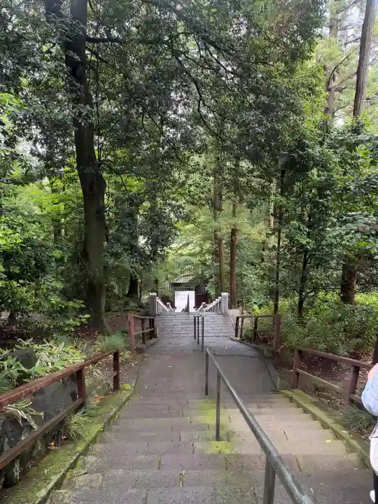 達磨寺(群馬県)