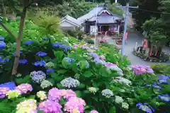 三ヶ根観音（太山寺）(愛知県)