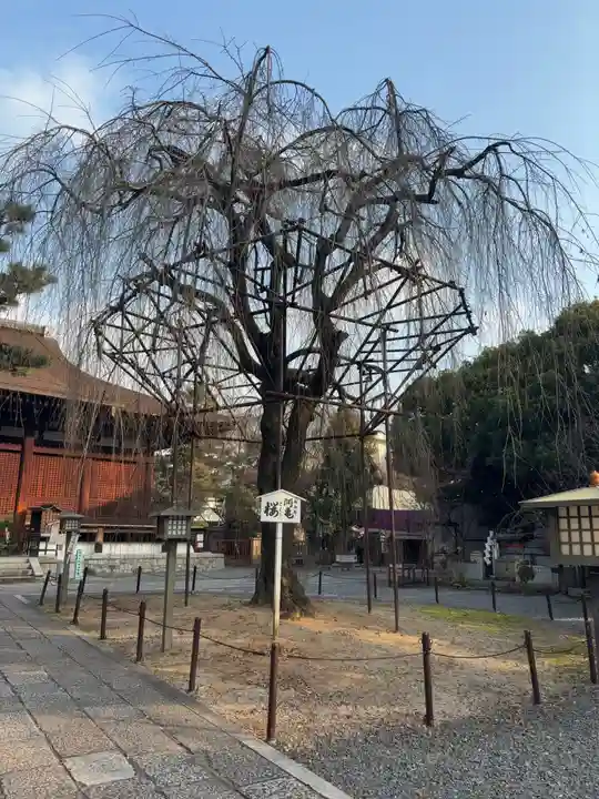 大報恩寺(千本釈迦堂)(京都府)
