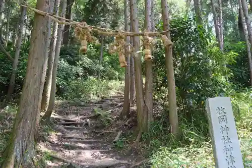 枚岡神社の自然