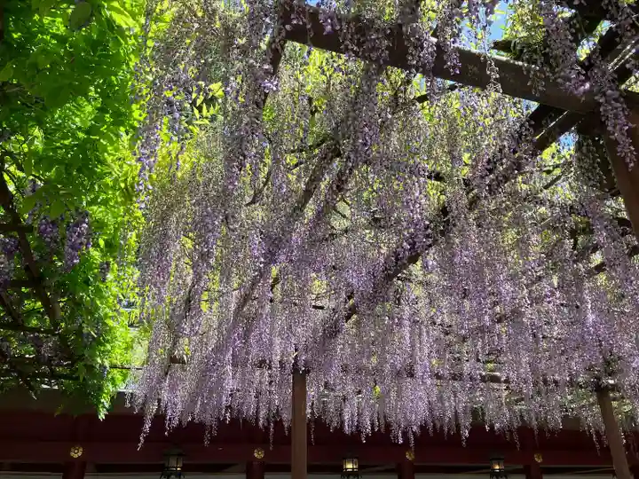 笠間稲荷神社(茨城県)