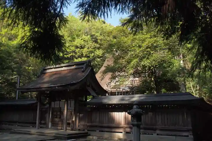 若狭彦神社(上社)の本殿・本堂