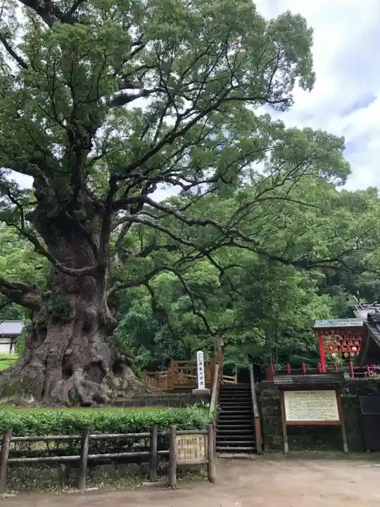蒲生八幡神社のその他建物