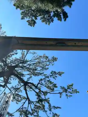 寒川神社(神奈川県)