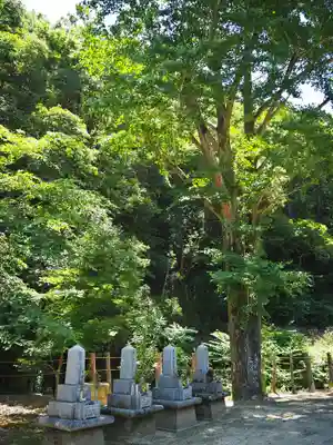 藤井寺のその他建物