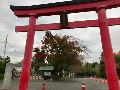 白笹稲荷神社の鳥居