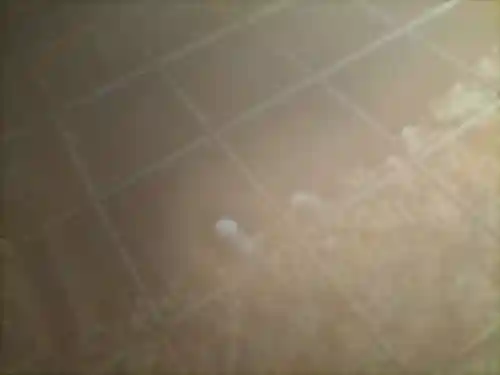 走湯神社(静岡県)