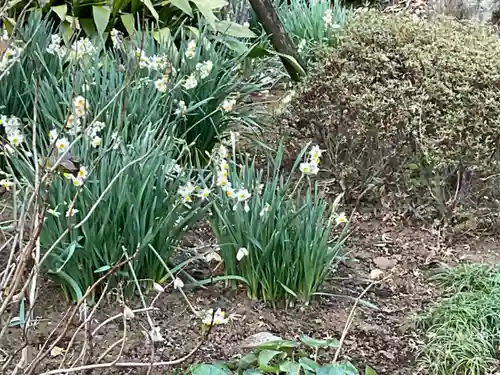 真福寺(神奈川県)