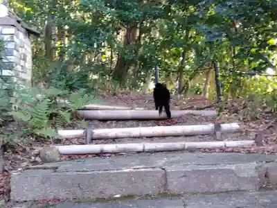 石峯寺(京都府)