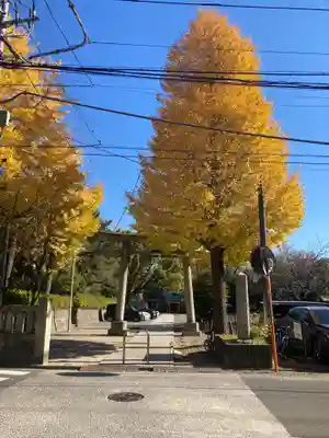 稲毛神社(神奈川県)