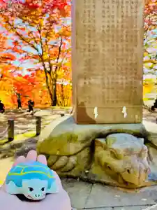 土津神社|こどもと出世の神さま(福島県)(2025年11月04日(火) 15時41分14秒投稿)