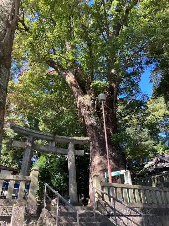 五所神社(神奈川県)