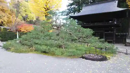 慈雲寺(長野県)