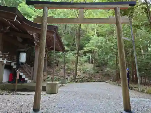 出雲大神宮の鳥居