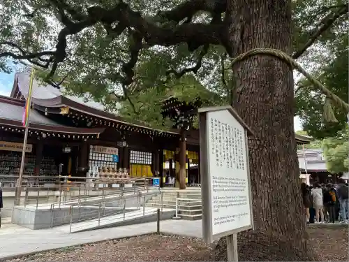 明治神宮(東京都)