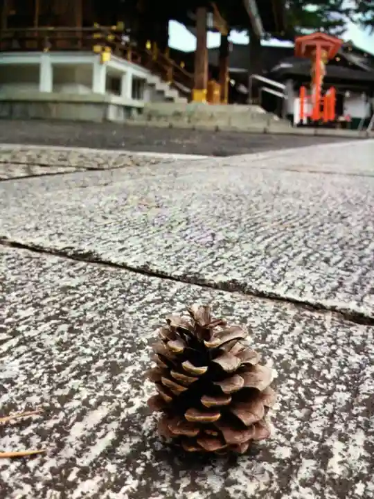 中野沼袋氷川神社(東京都)