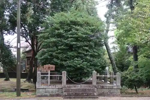 櫻井神社(愛知県)