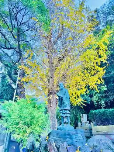 光触寺(神奈川県)