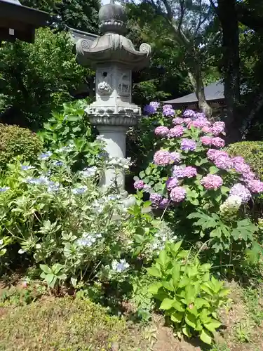 妙楽寺(神奈川県)