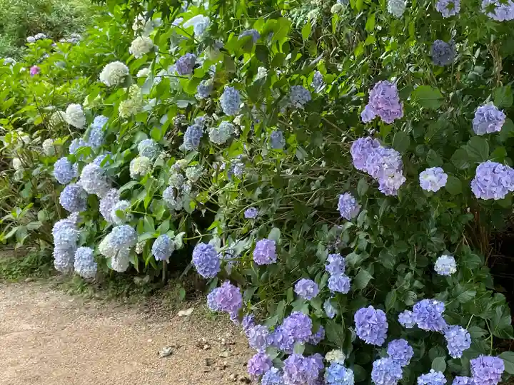 西法院(岡山県)