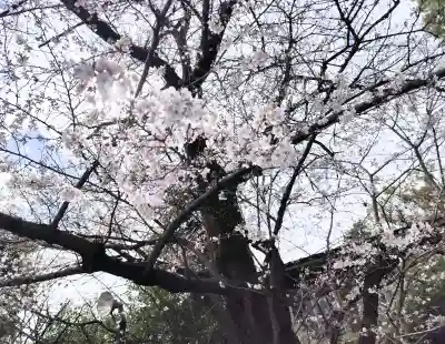 阿佐ヶ谷神明宮の{uncategorized: "未分類", other: "その他", undefined: "問題あり", building: "その他建物", grave: "お墓", sacred_gate: "鳥居", guardian: "狛犬", statue: "像", buddha: "仏像", history: "歴史", nature: "自然", garden: "庭園", animal: "動物", pagoda: "塔", temizu: "手水舎", mountain_gate: "山門・神門", sanctuary: "本殿・本堂", subordinate: "末社・摂社", art: "芸術", scenery: "景色", jizo: "地蔵", ema: "絵馬", goshuin: "御朱印", omikuji: "おみくじ", items: "授与品その他", amulet: "お守り", goshuincho: "御朱印帳", eats: "食事", festival: "お祭り", votive_dance: "神楽", shichigosan: "七五三参", wedding: "結婚式", experience: "体験その他", initially: "初詣", around: "周辺", anti_infection: "感染症対策"}