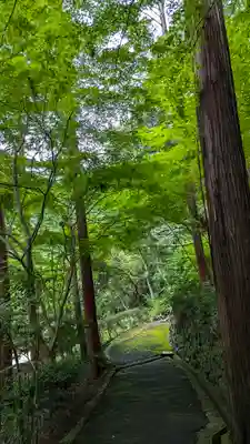 善峯寺(京都府)