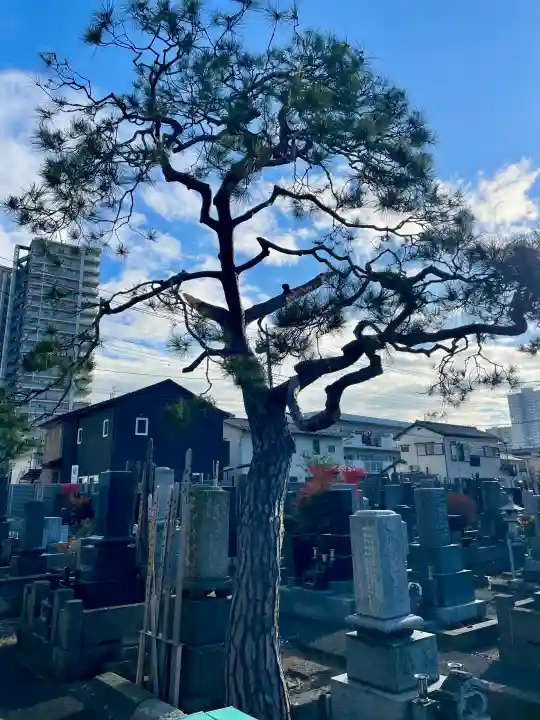 安楽寺の{uncategorized: "未分類", other: "その他", undefined: "問題あり", building: "その他建物", grave: "お墓", sacred_gate: "鳥居", guardian: "狛犬", statue: "像", buddha: "仏像", history: "歴史", nature: "自然", garden: "庭園", animal: "動物", pagoda: "塔", temizu: "手水舎", mountain_gate: "山門・神門", sanctuary: "本殿・本堂", subordinate: "末社・摂社", art: "芸術", scenery: "景色", jizo: "地蔵", ema: "絵馬", goshuin: "御朱印", omikuji: "おみくじ", items: "授与品その他", amulet: "お守り", goshuincho: "御朱印帳", eats: "食事", festival: "お祭り", votive_dance: "神楽", shichigosan: "七五三参", wedding: "結婚式", experience: "体験その他", initially: "初詣", around: "周辺", anti_infection: "感染症対策"}