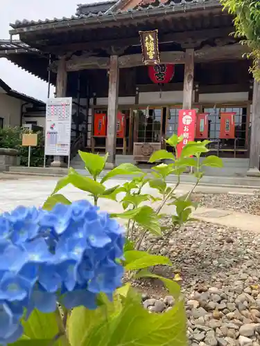 總社 和田八幡宮の本殿