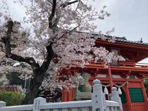 伊豫稲荷神社の山門