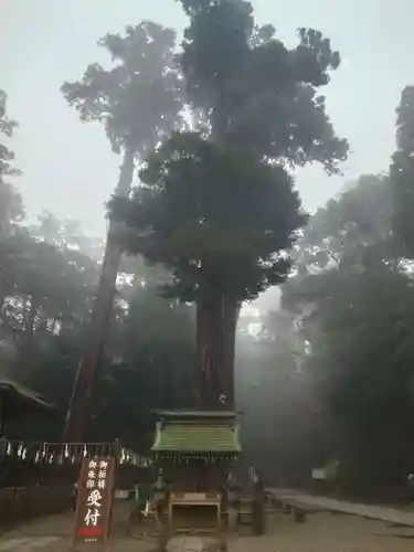 鹿島神宮(茨城県)