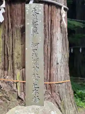 河口浅間神社(山梨県)