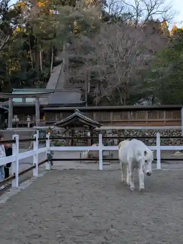 丹生川上神社（下社）の{uncategorized: "未分類", other: "その他", undefined: "問題あり", building: "その他建物", grave: "お墓", sacred_gate: "鳥居", guardian: "狛犬", statue: "像", buddha: "仏像", history: "歴史", nature: "自然", garden: "庭園", animal: "動物", pagoda: "塔", temizu: "手水舎", mountain_gate: "山門・神門", sanctuary: "本殿・本堂", subordinate: "末社・摂社", art: "芸術", scenery: "景色", jizo: "地蔵", ema: "絵馬", goshuin: "御朱印", omikuji: "おみくじ", items: "授与品その他", amulet: "お守り", goshuincho: "御朱印帳", eats: "食事", festival: "お祭り", votive_dance: "神楽", shichigosan: "七五三参", wedding: "結婚式", experience: "体験その他", initially: "初詣", around: "周辺", anti_infection: "感染症対策"}